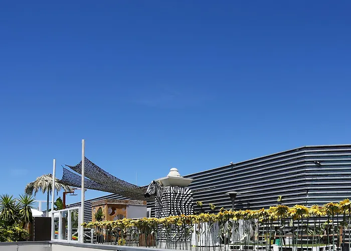 شباب صن سيت ديستينيشين